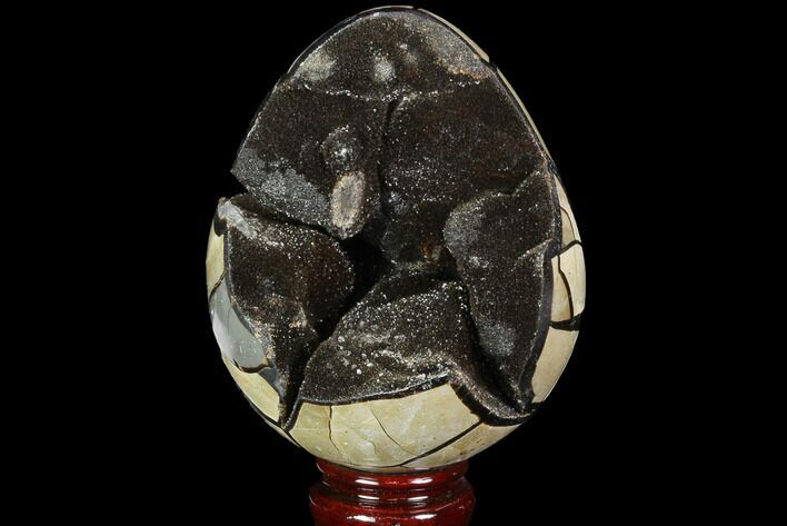 Septarian Dragon Egg Geode - Black Crystals #98864